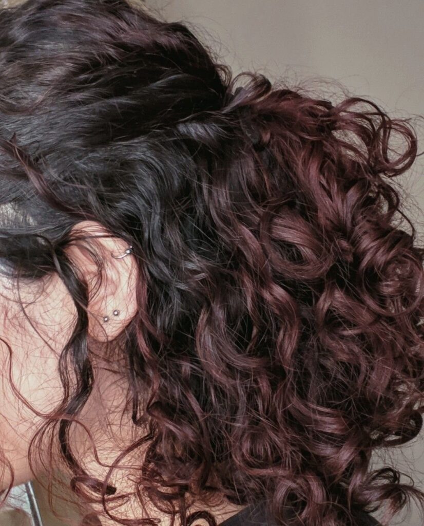 Curly hair dyed in deep chocolate brown and plum purple tones.